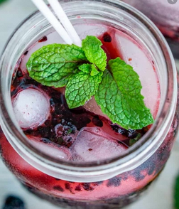 nonalcoholic-berry-mojito-img